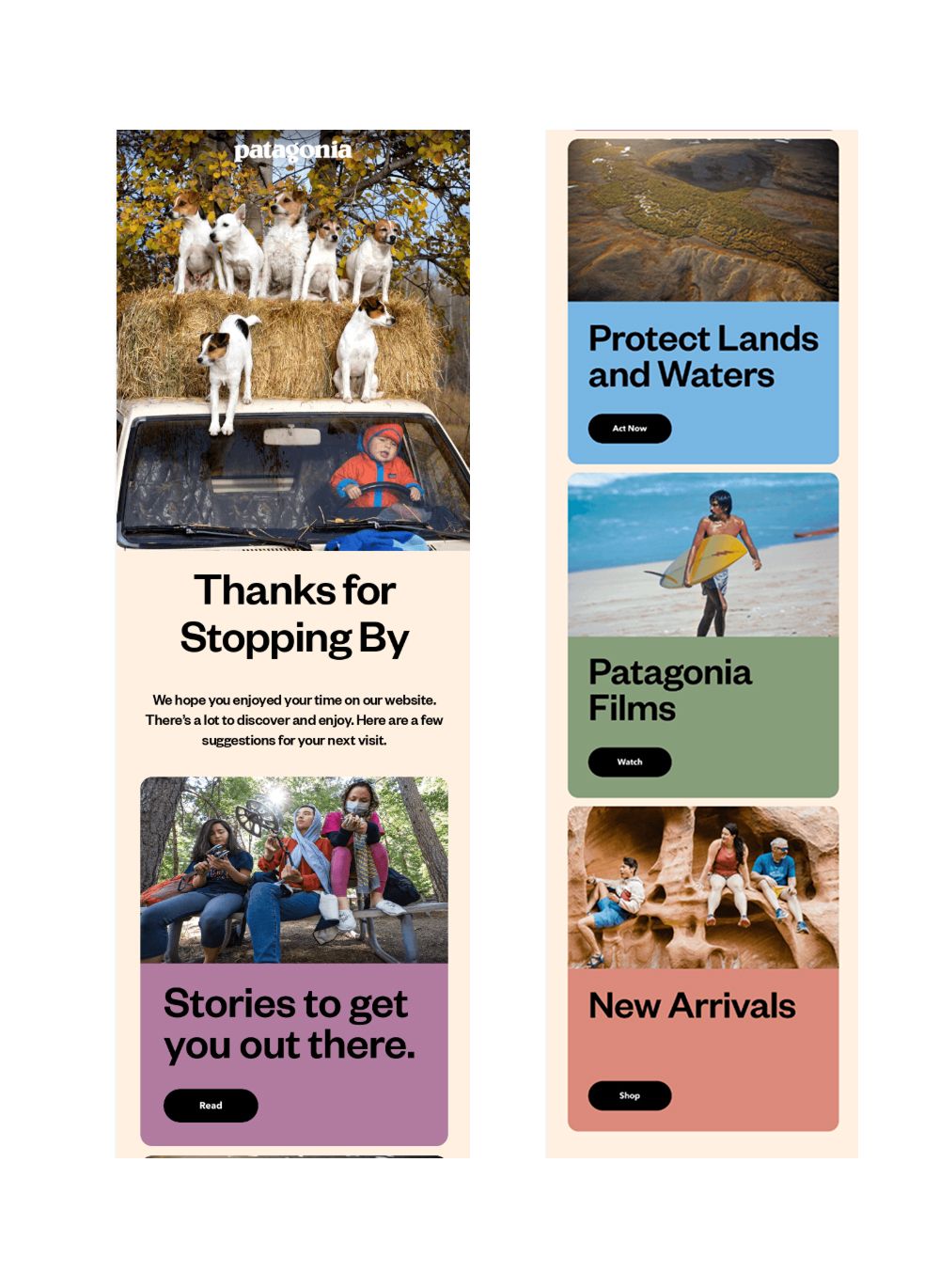 Flusso di Browse Abandonment Patagonia